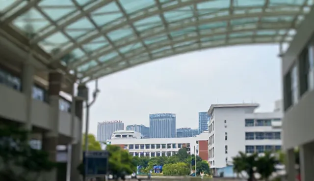 行业资讯更新中的业务发展趋势与问题应对策略